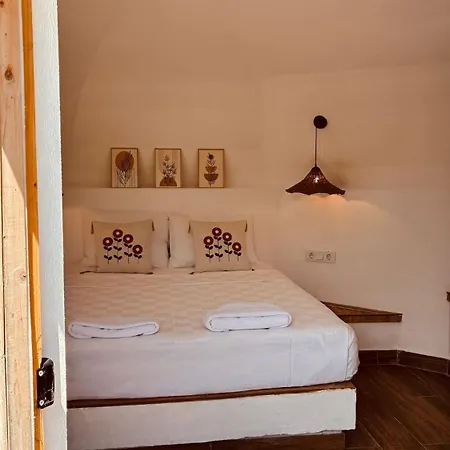 Hotel Nova
